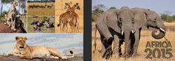 Safari  Cover Option 7