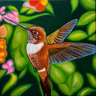 colibri.png