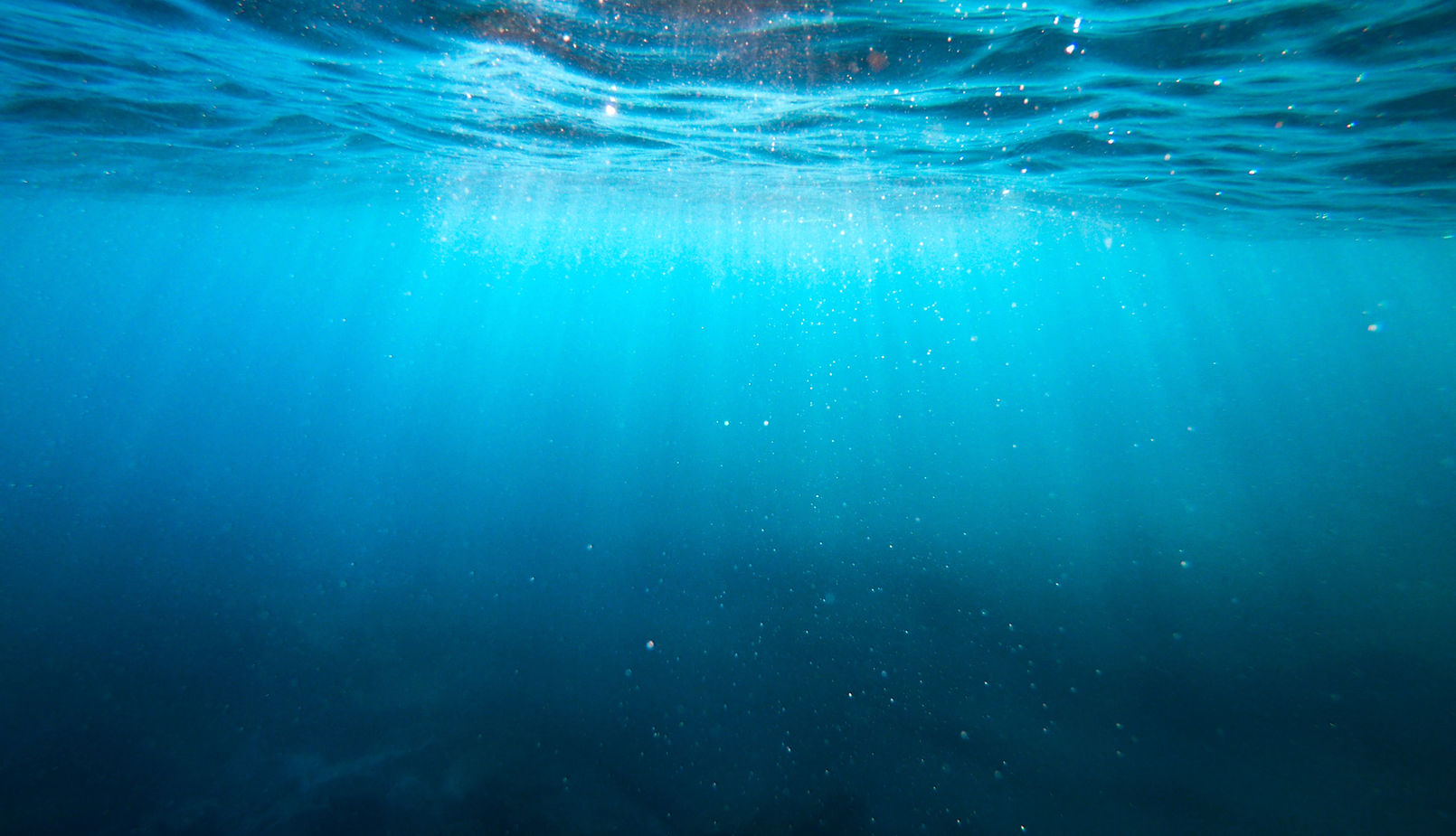 Underwater and lights_edited.jpg