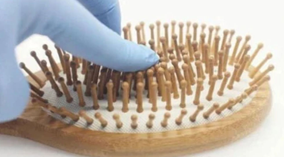 Thumbnail: Wooden Detangling Hair Brush