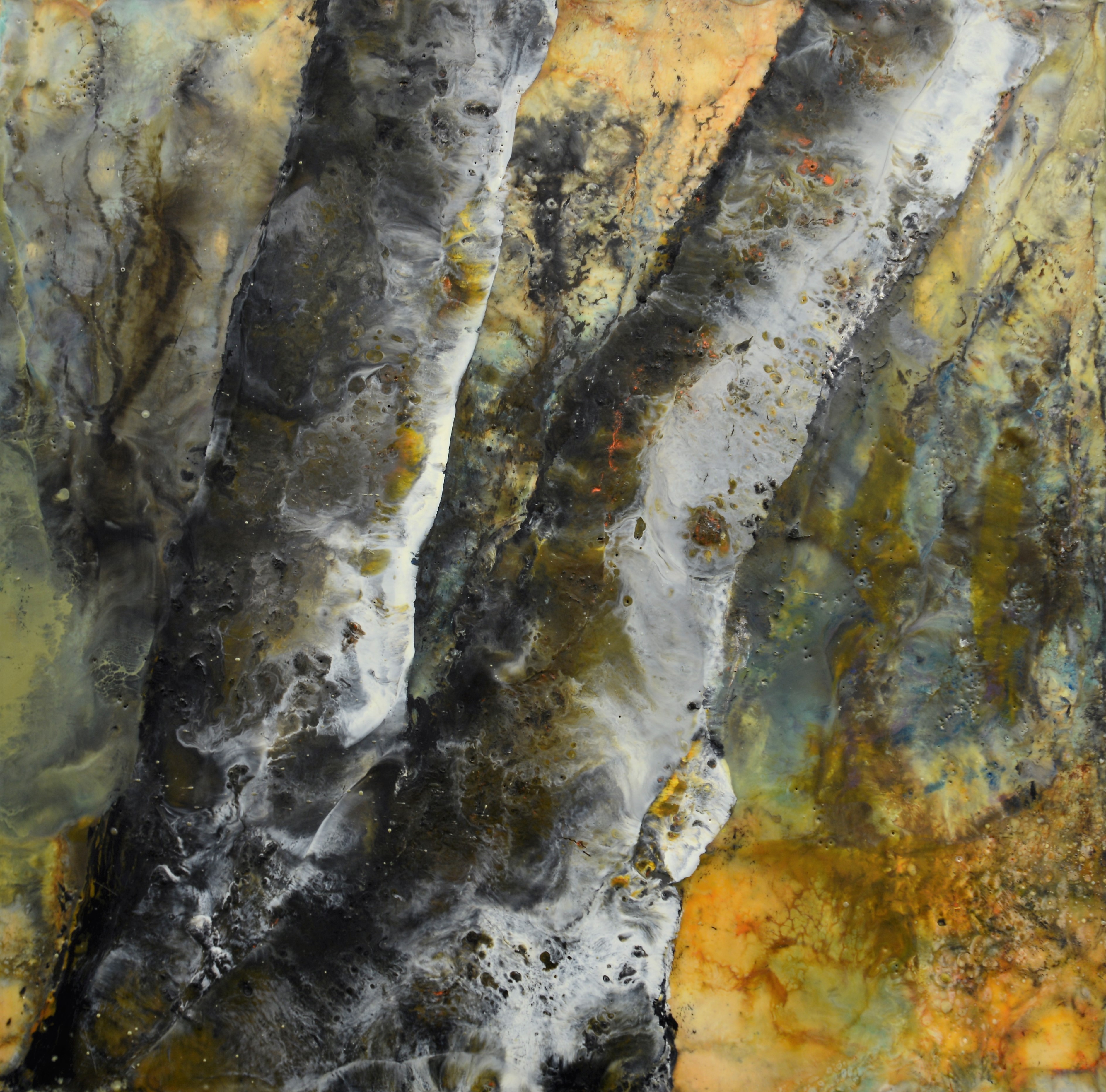Gully forest 2