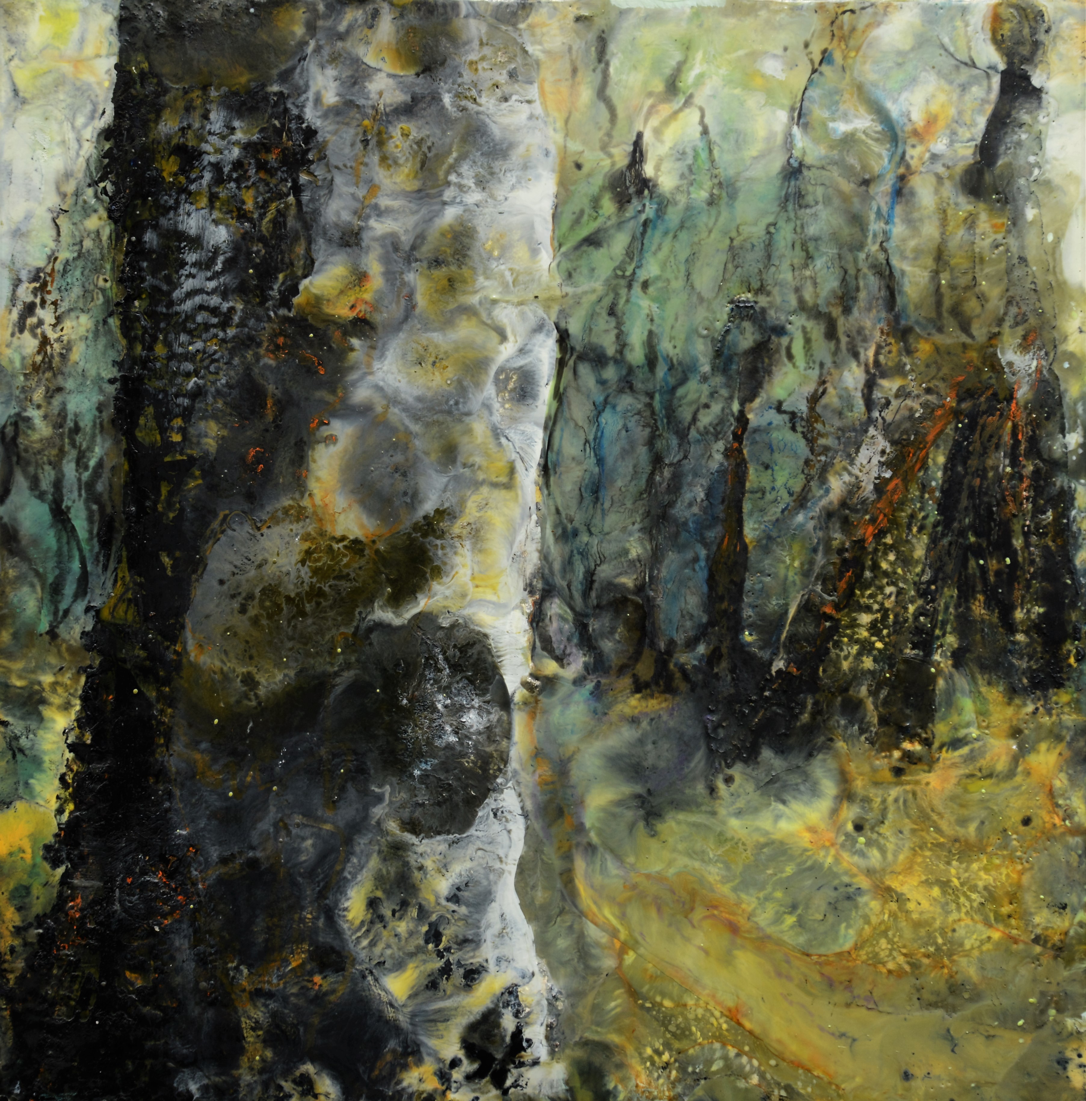 Gully Forest 1
