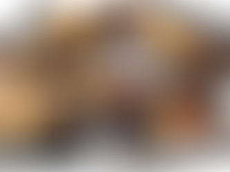 Retrouvez l’ambiance de notre Rendez-Vous VetPartners !