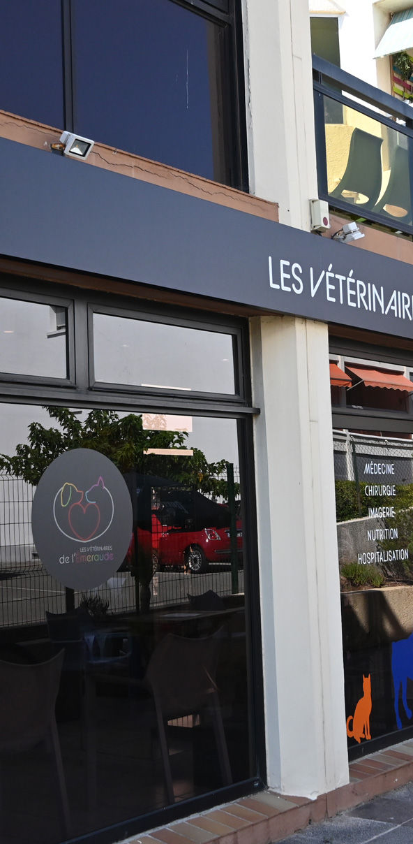 Les vétérinaires de l'Émeraude Les vétérinaires de l'Émeraude