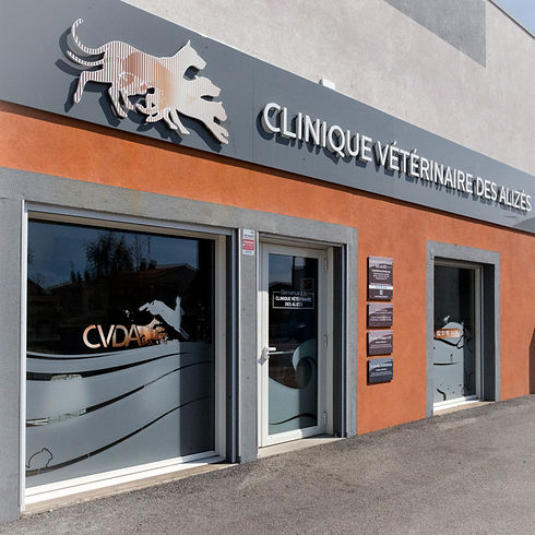 clinique-veterinaire-devanture2.jpg