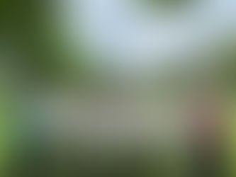 農村的香氣:芳療與藥草在地應用小知識