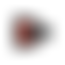 OX03C10 Color HDR FPD-Link III Camera