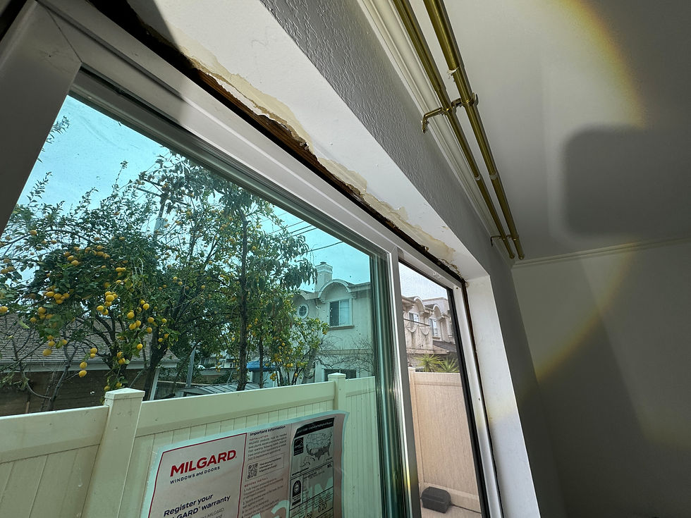 Your Home Has a Rain Leak. Now What?