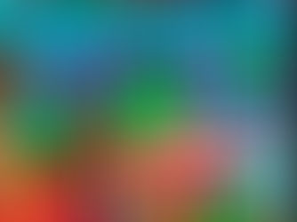 NCCT Financial Statements 2024