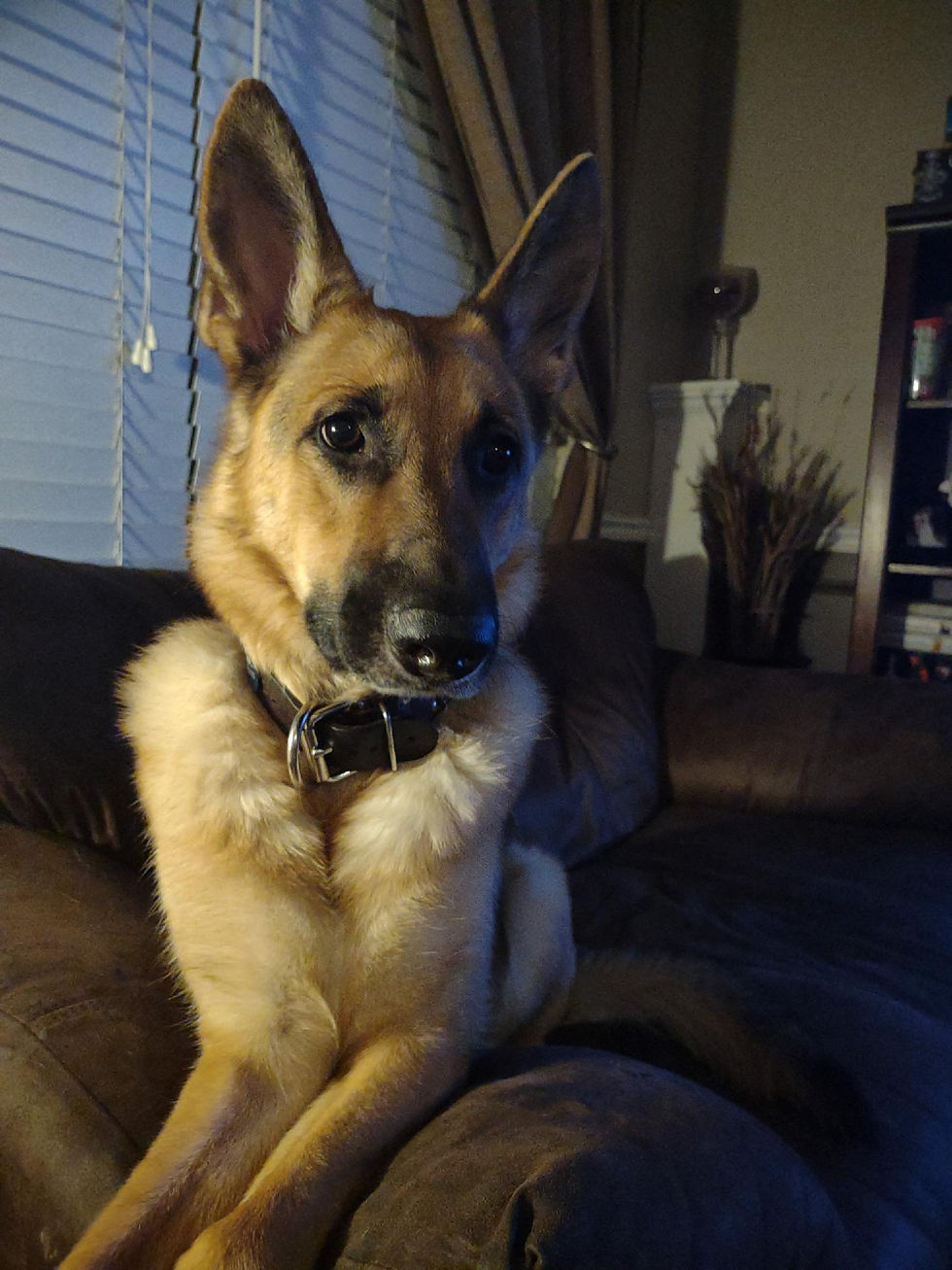 "It's exhausting looking this pretty".