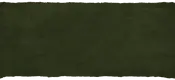 green torn paper.webp