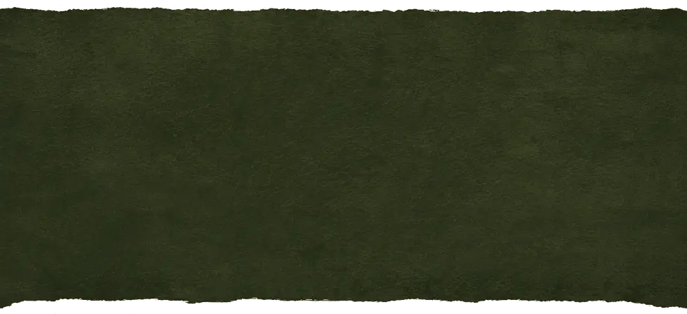 green torn paper.webp