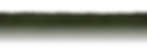 torn-top green paper fade bottom.webp
