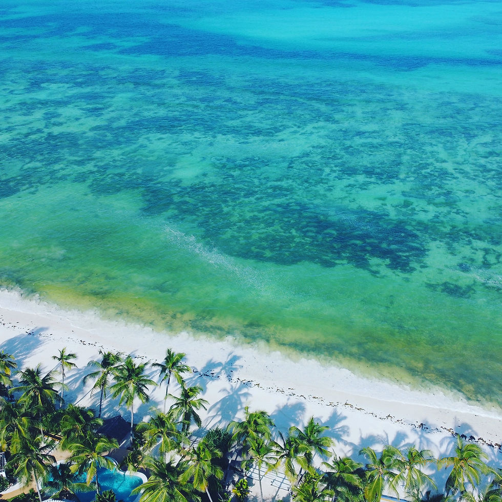 Tanzania Safari from Zanzibar: Luxury Beach and Safari Combination