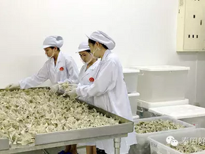 燕窝的加工方式--什么是泰式古法挑毛？