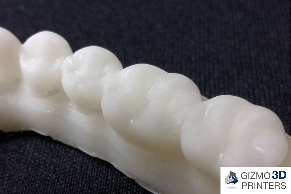 Dental Model