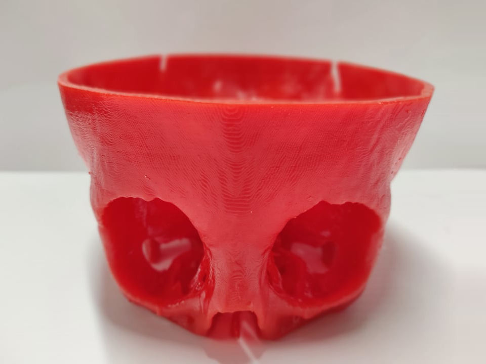 Gizmo 3D Printers skull 3D printed in 2 hours and 30 minutes
