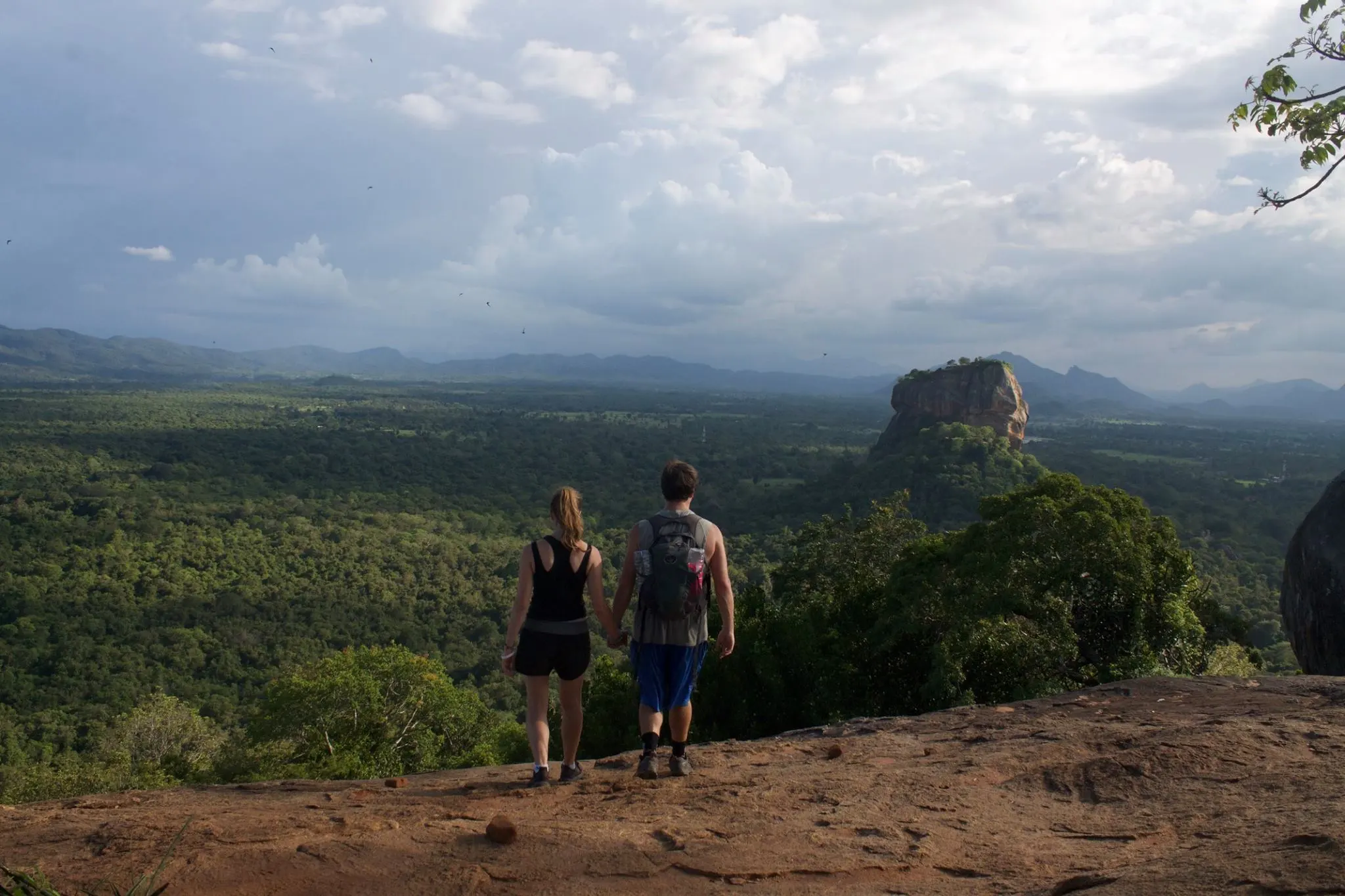 Couple holding hands, standing on a rock edge looking over Sigiriya Rock and surrounding jungle in Sri Lanka