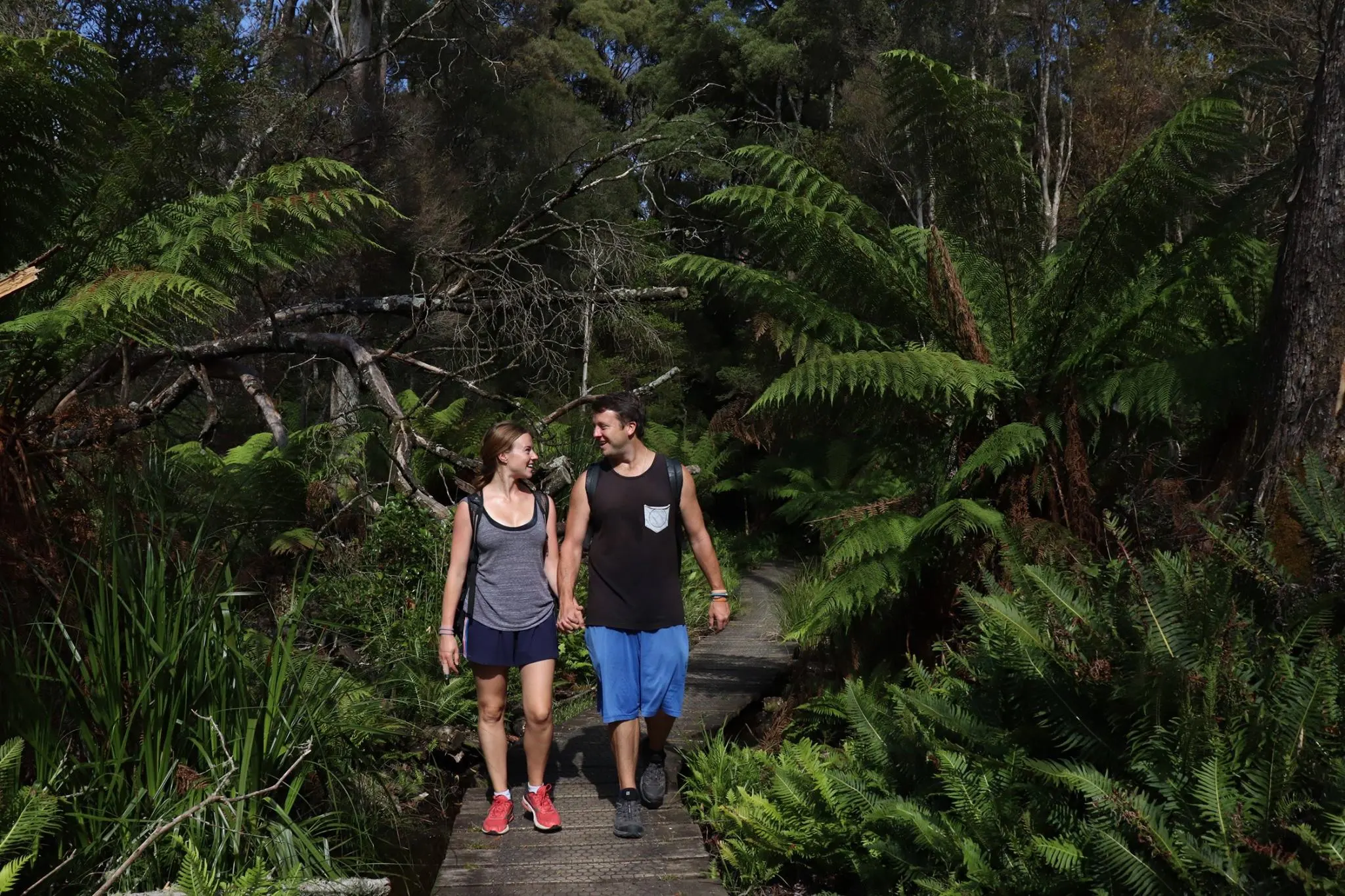Couple walking through rainforest on a boardwalk holding hands