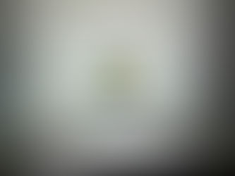 The New York Times Spelling Bee