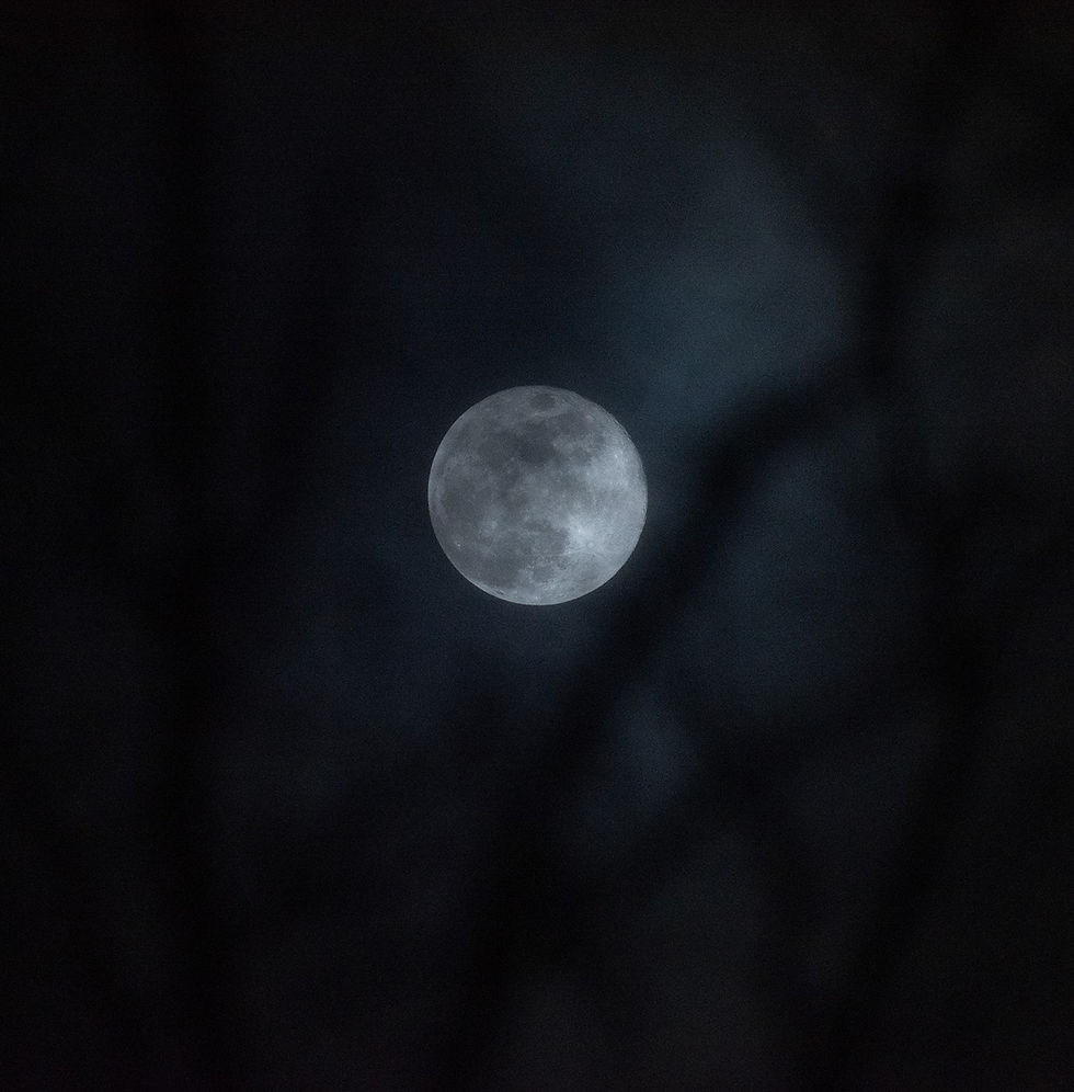 Moon gazing in 2026