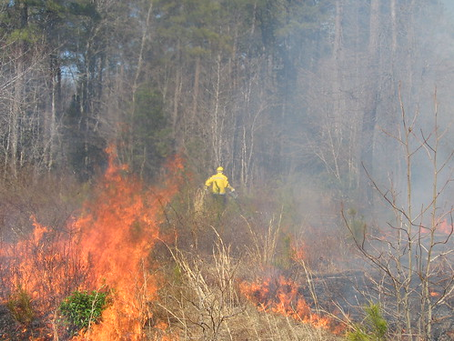 Maryland 2024 Volunteer Fire Assistance Grants Help Local Firefighters Enhance Wildland Fire Protection