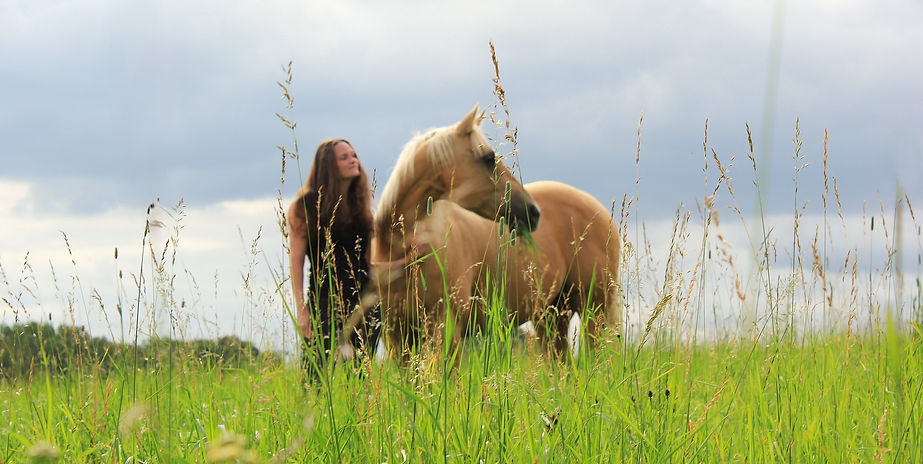 verbindung-zwischen-pferd-und-mensch