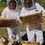 Thumbnail: Sponsor a Ticket for a New Beekeepers Journey