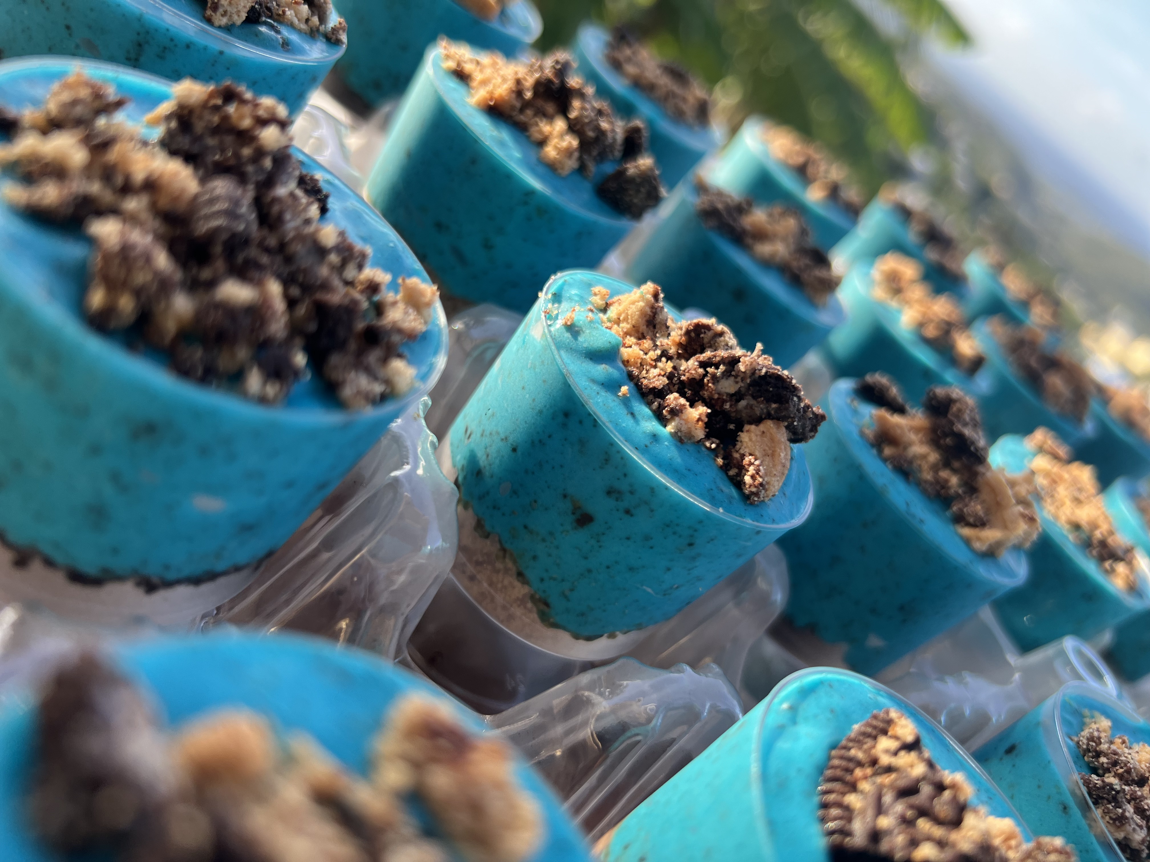 Arranged Food and Objects