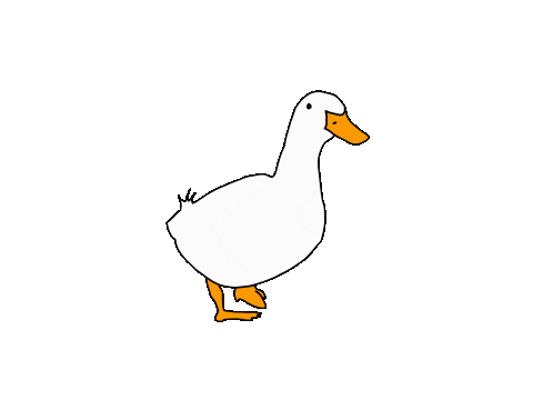 e23672db81058e852cd8681d0fc4576c.gif