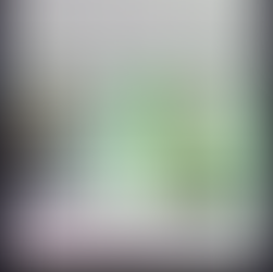 The time I fell into a bush while meeting my boyfriend's friends