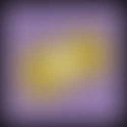 Starting a new business during quarantine.