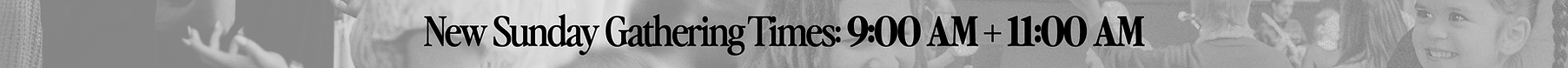 Website Banner copy.png