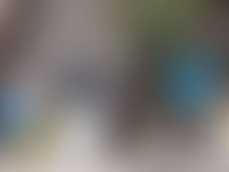 Personas adultas mayores y mujeres venden flores, frutas y alimentos en la vía pública, sobre cubetas y botes reciclados, como parte de la economía informal en México.