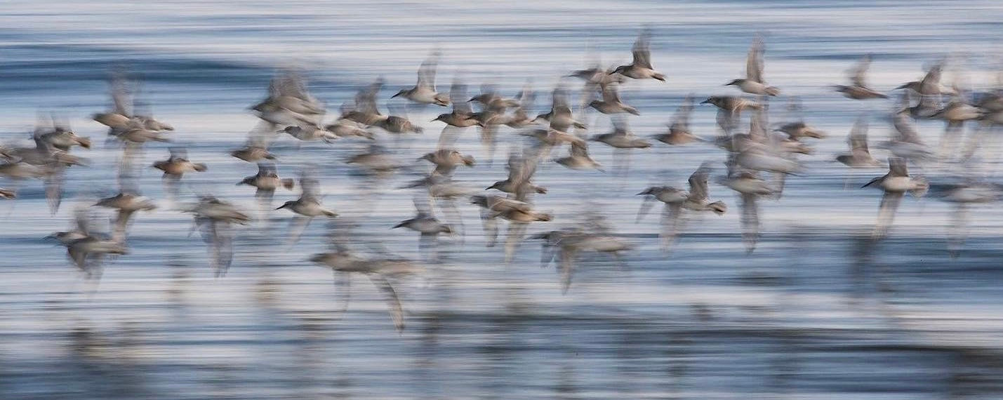 The Long Journey North