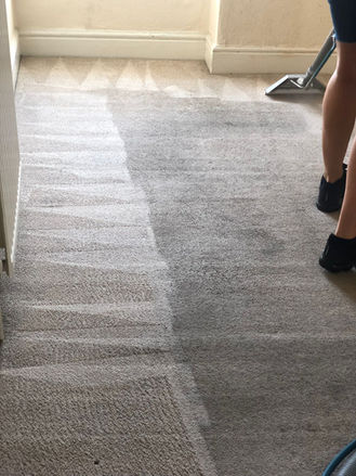 Rug Cleaning Video