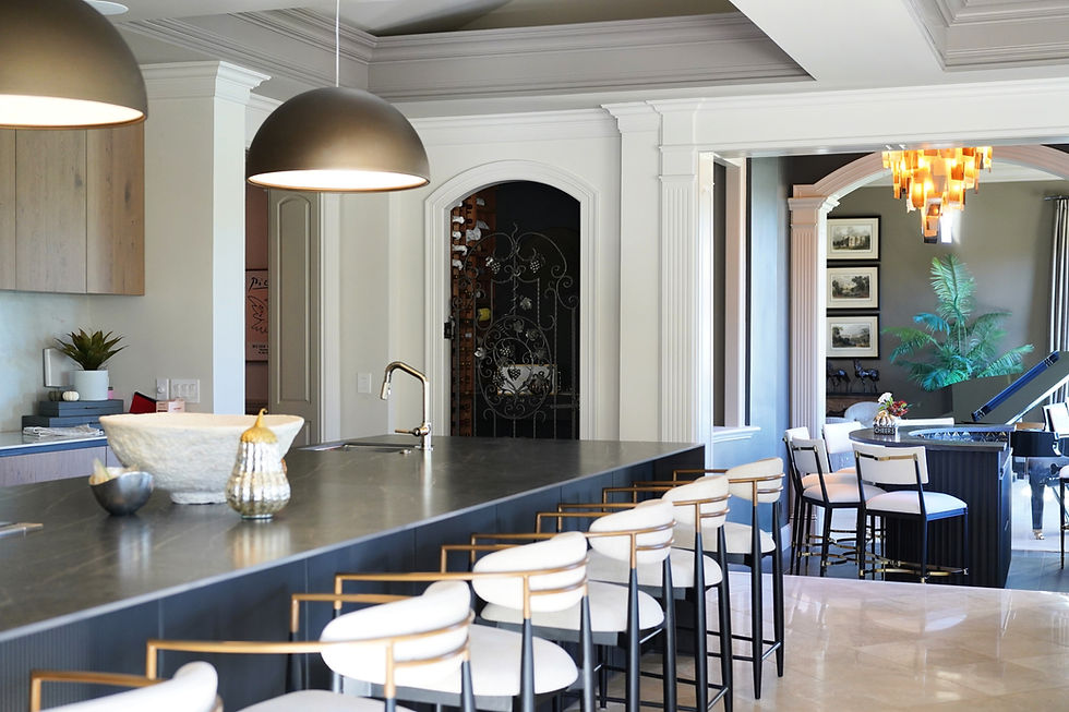 residential interior / kitchen project
