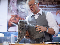 Oliver Plush Happines