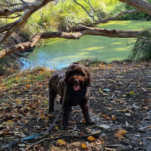 Saturday morning adventures