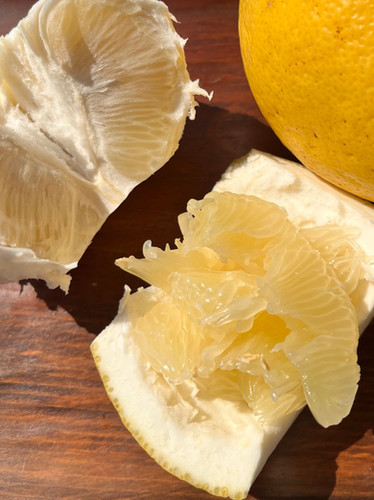 パール柑 7kg【農薬・化学肥料不使用栽培】 | エコネットみなまた