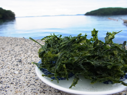 凸凹 鹿児島県長島町産あおさ 鹿児島県長島町産 乾燥あおさ(200g)【礒永水産】iso-6042