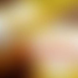 災害支援について