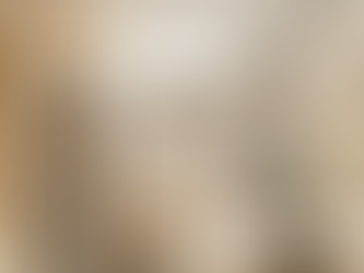 Tudo o que vc precisa saber sobre OBRA