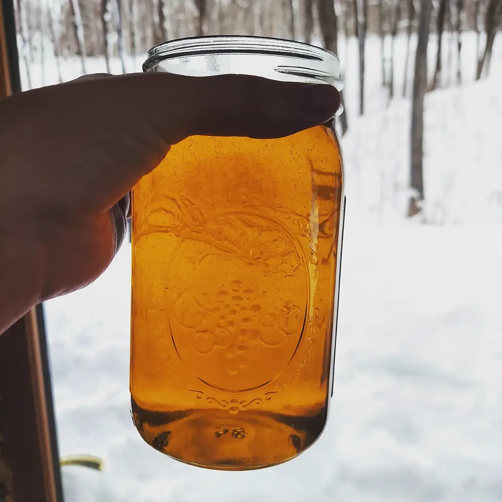 Thumbnail: a jar of golden calendula and cbd oil held out against a snowy background 