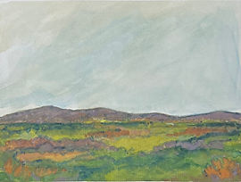 Meadow to Mountain.jpeg