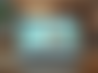 Answers to Your Online Shopping Questions