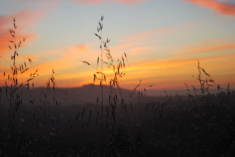 Sunset LA by Ilona Kovacs