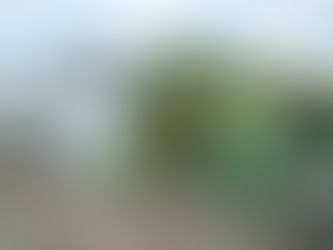 greenhouse style bunker space