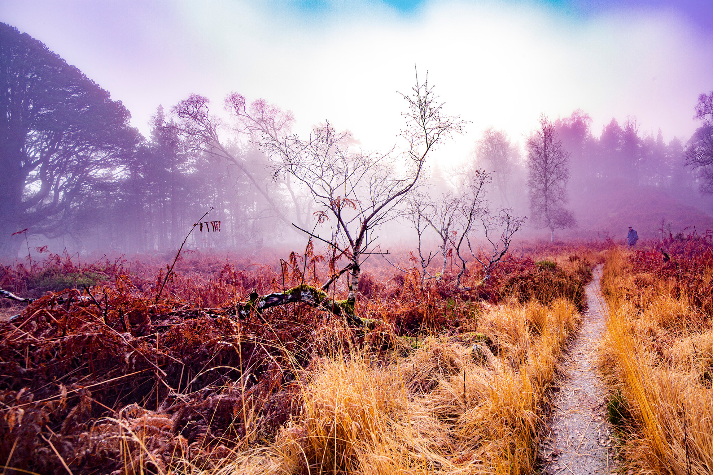 © Mathilde Bozier - AGENCE OUT OF FRAME - Série photographique - Paysages en dormance