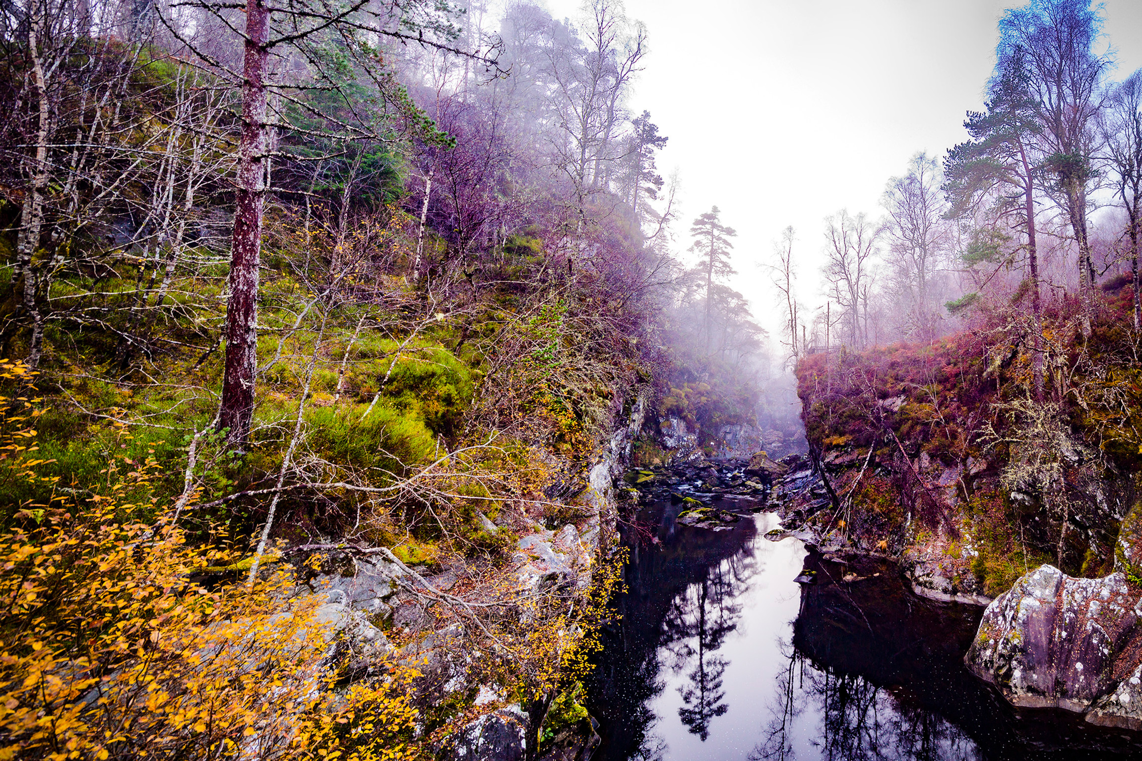 © Mathilde Bozier - AGENCE OUT OF FRAME - Série photographique - Paysages en dormance